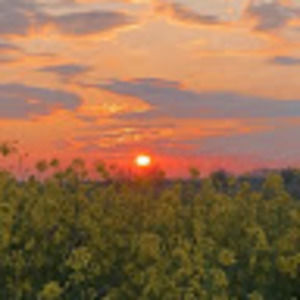 Meet your Posher, Kaitlyn